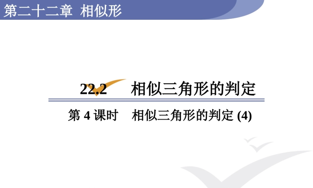 第4课时相似三角形的判定(4).pptx