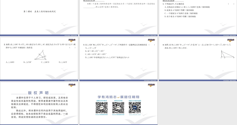 第5课时 直角三角形相似的判定.pptx