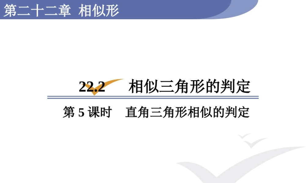 第5课时直角三角形相似的判定.pptx