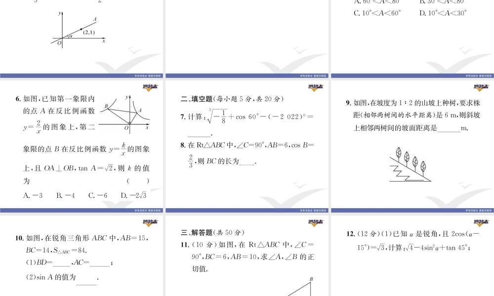 阶段微测试（7）【范围：23.1】.pptx