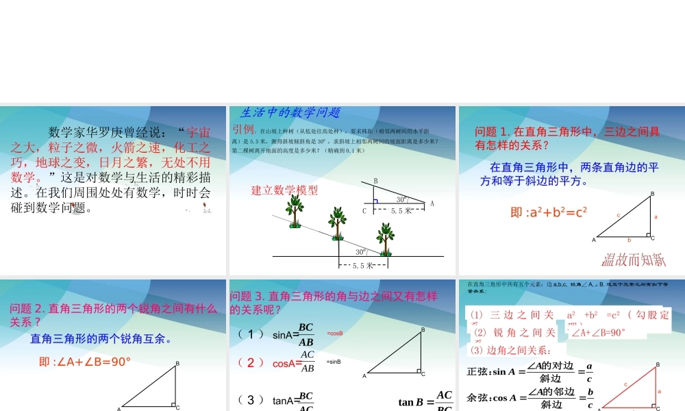 13解直角三角形1pptx_5.pptx