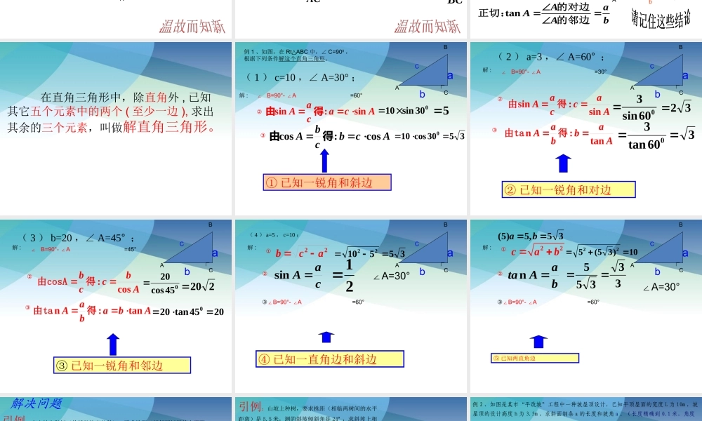 13解直角三角形1pptx_5.pptx