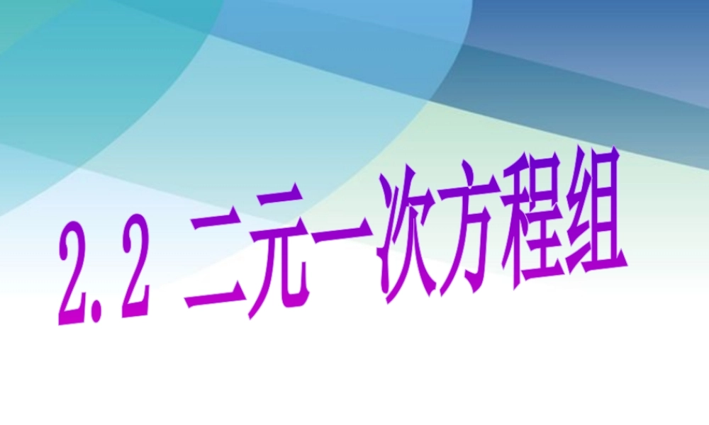 22二元一次方程组pptx_8.pptx