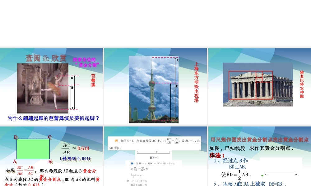 62黄金分割ppt_12.ppt