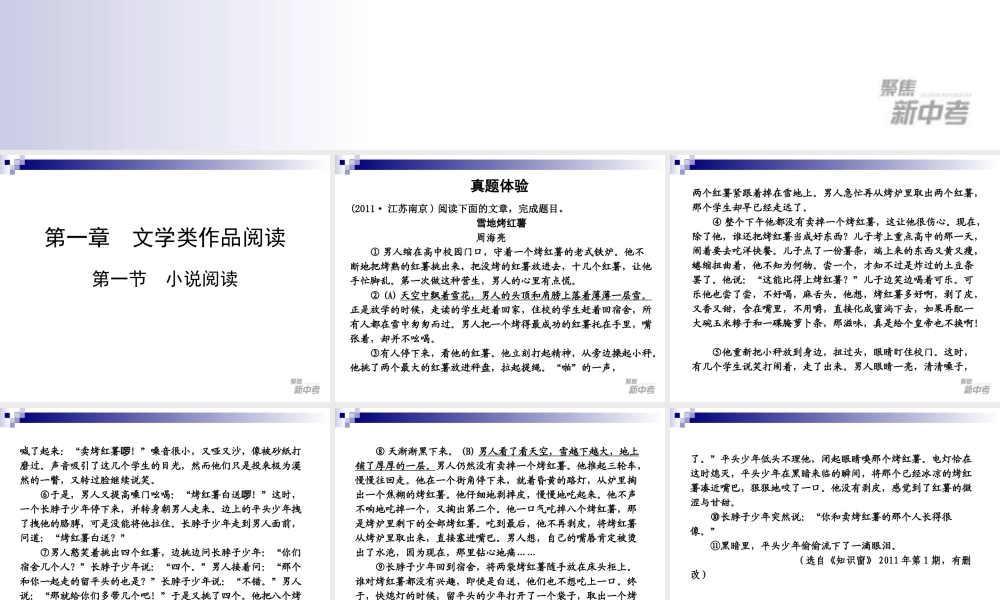 中考专题复习：《小说阅读》ppt课件.ppt