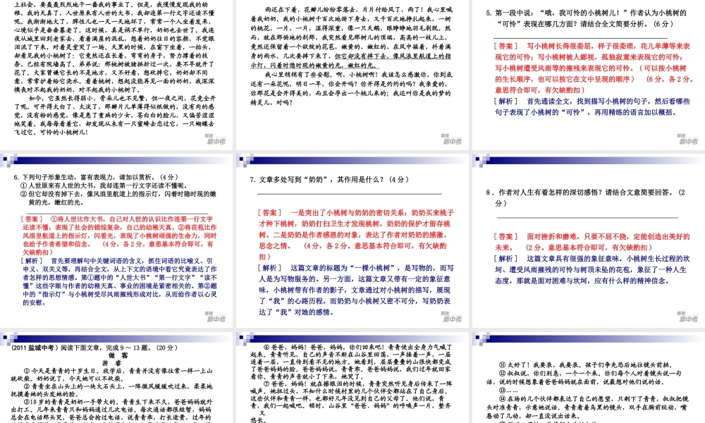 中考专题复习：《现代文阅读》ppt课件.ppt