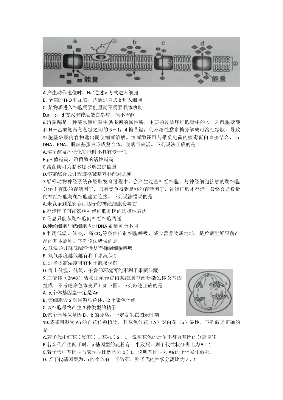 山东省潍坊高密、诸城、安丘2022-2023学年高三上学期10月联考生物试题.docx_第2页