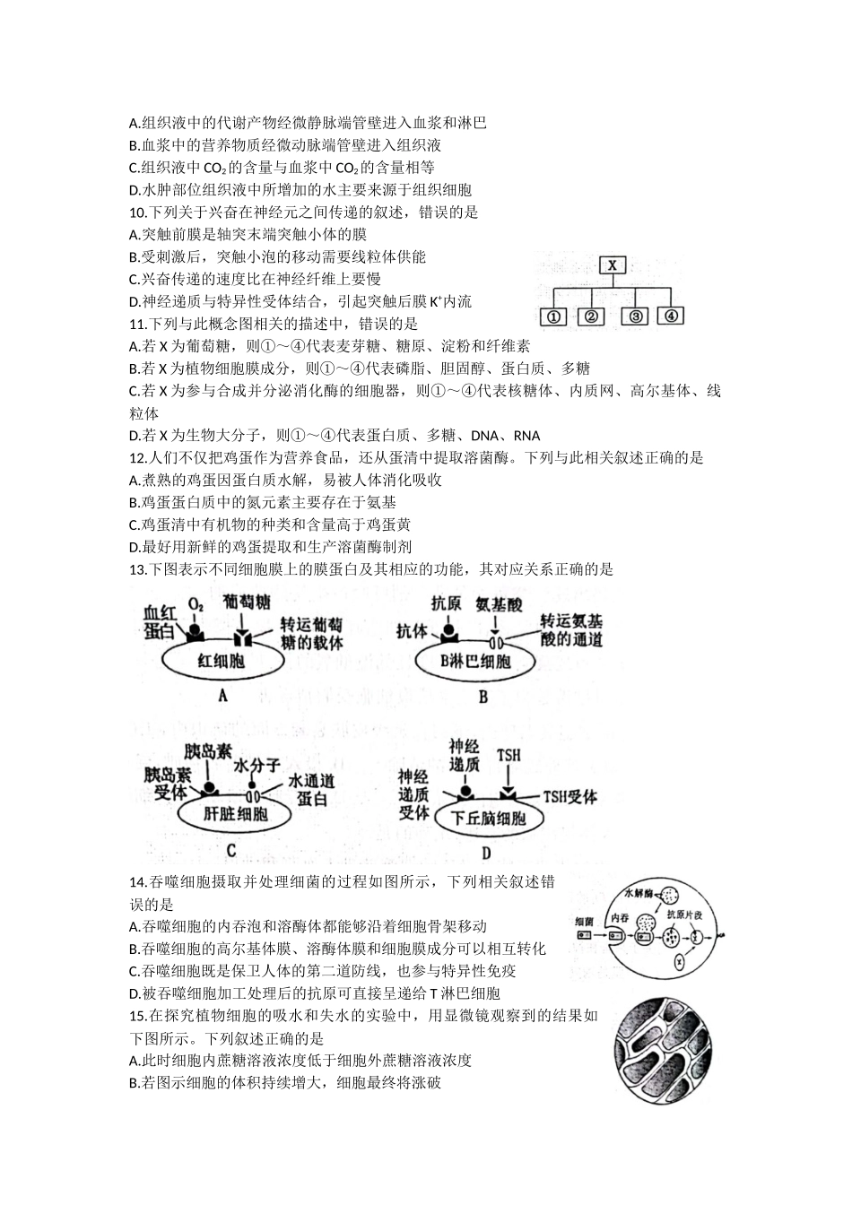 河南省洛平许济联考2023届高三上学期第一次质量检测+生物试题+word版含答案.docx_第2页
