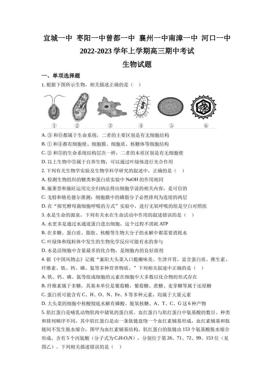 湖北省宜城一中、枣阳一中等六校联考2022-2023学年高三上学期期中考试生物试题+Word版含答案.docx_第1页