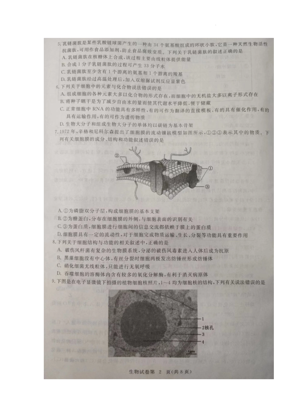 湖北省黄冈市2022-2023学年高三上学期9月调研考试生物试题.docx_第2页