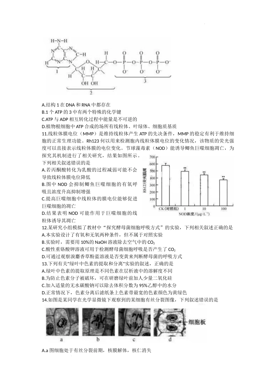 湖北省宜昌市协作体2022-2023学年高三上学期期中考试生物试题.docx_第3页