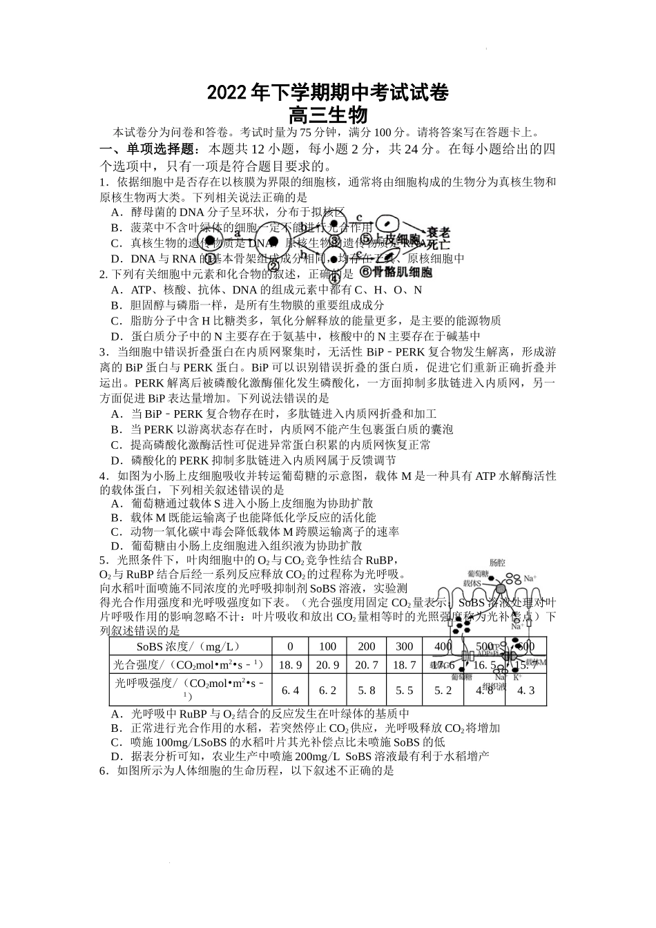 湖南省邵阳市武冈市2022-2023学年高三上学期期中考试生物试题.docx_第1页