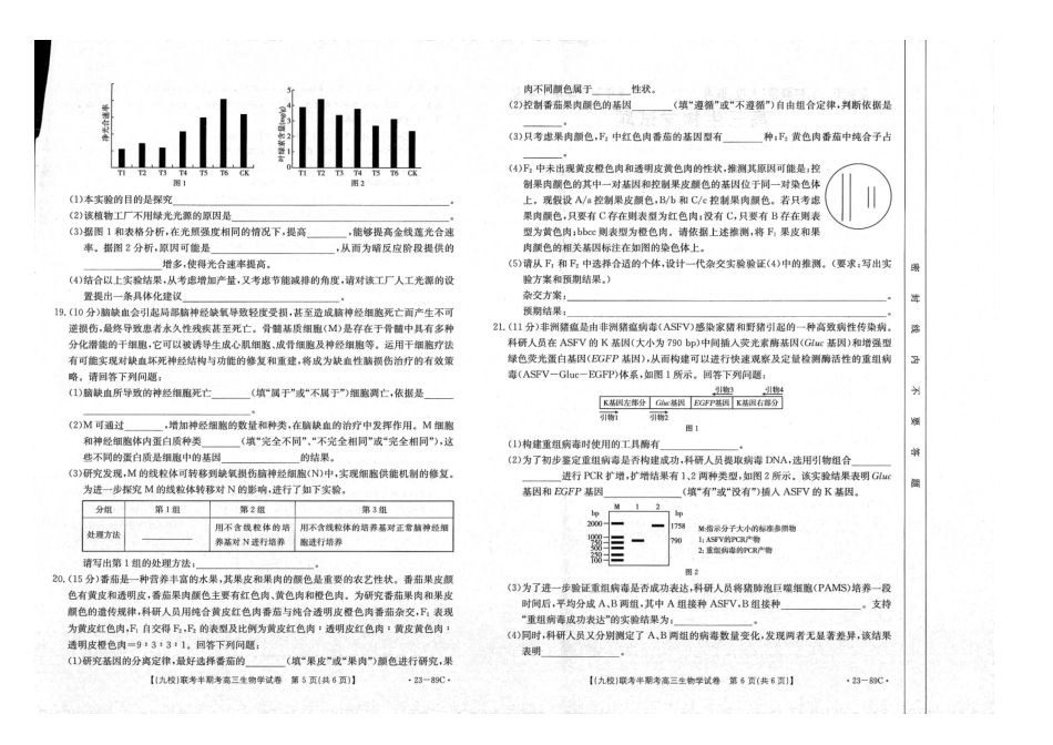 福建省龙岩市连城县2022-2023学年高三上学期11月期中生物试题.docx_第3页