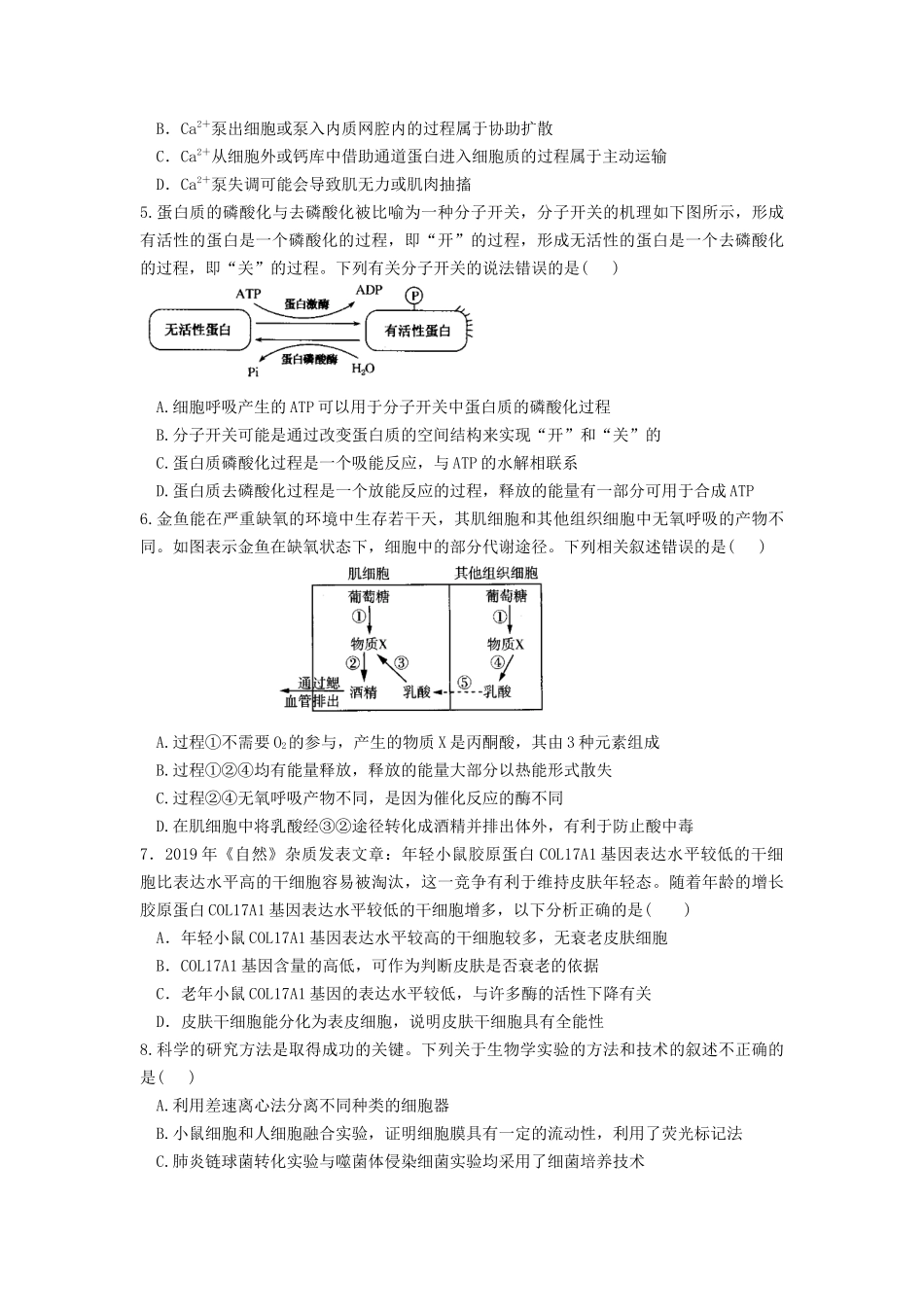辽宁省丹东市五校2022-2023学年高三上学期联考+生物+Word版含答案.docx_第2页
