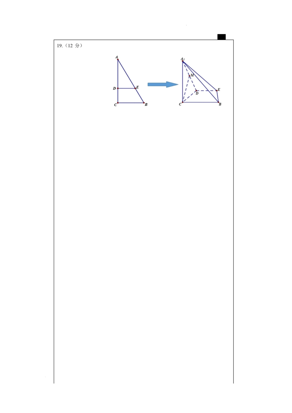 23届高三理科数学上期半期考试试卷答题卡A4版.docx_第3页