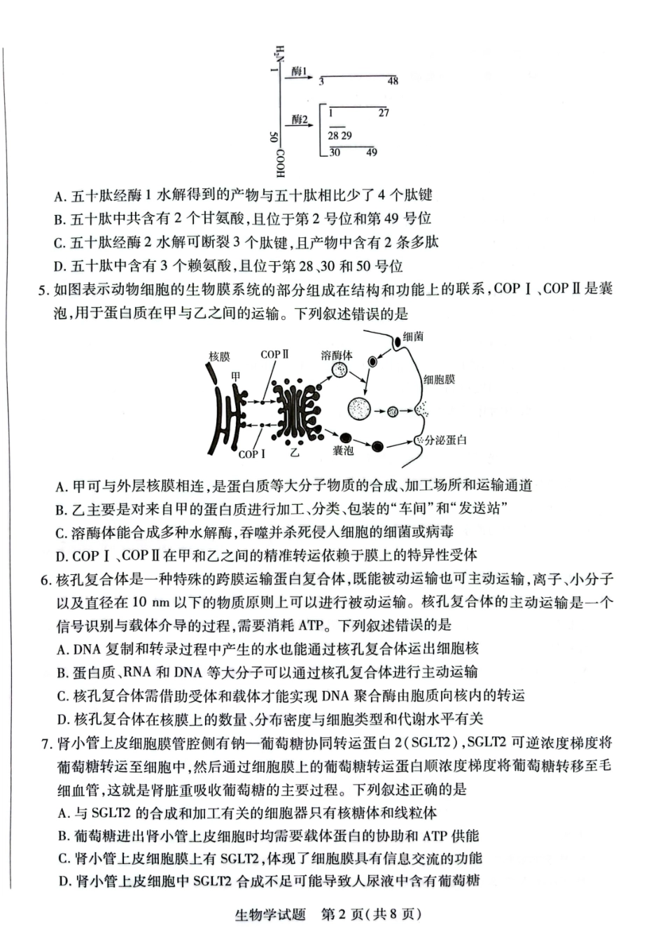 安徽省卓越县中联盟2022-2023学年高三上学期第一次联考生物试题.docx_第2页
