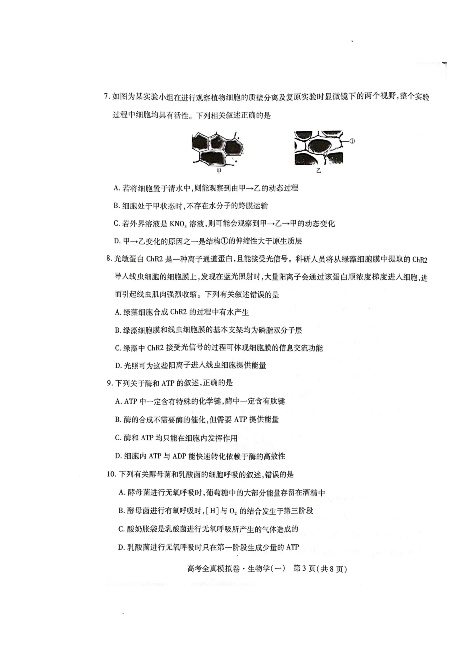 生物试题.doc_第3页