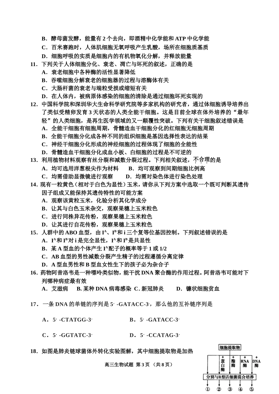 高三成稿 1.doc_第3页