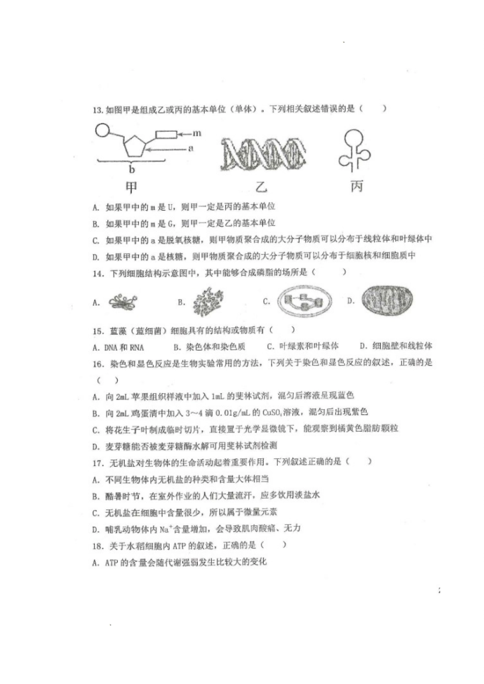 黑龙江省龙西北八校联合体2022-2023学年高三上学期开学考试生物试题.doc_第3页