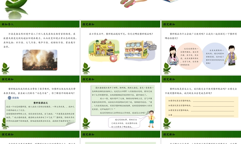 10 我们所了解的环境污染 第1课时 课件.ppt