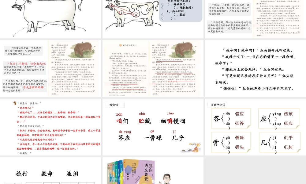 10.《在牛肚子里旅行》.pptx