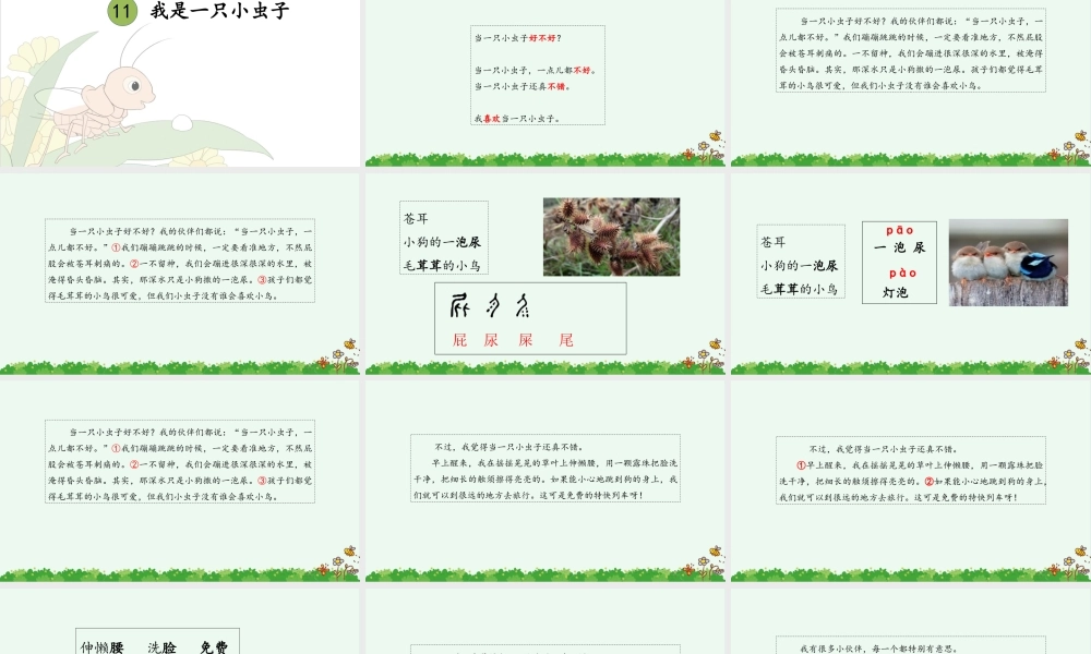 11 我是一只小虫子（改）.pptx
