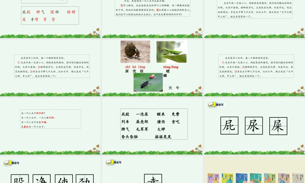 11 我是一只小虫子（改）.pptx