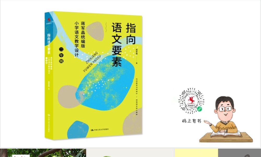 13 画杨桃（改）.pptx