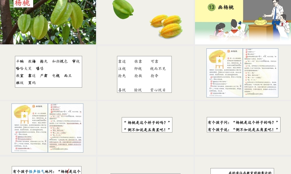 13 画杨桃（改）.pptx