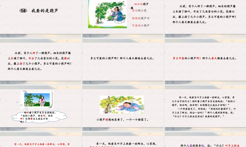 14 我要的是葫芦（改）.pptx