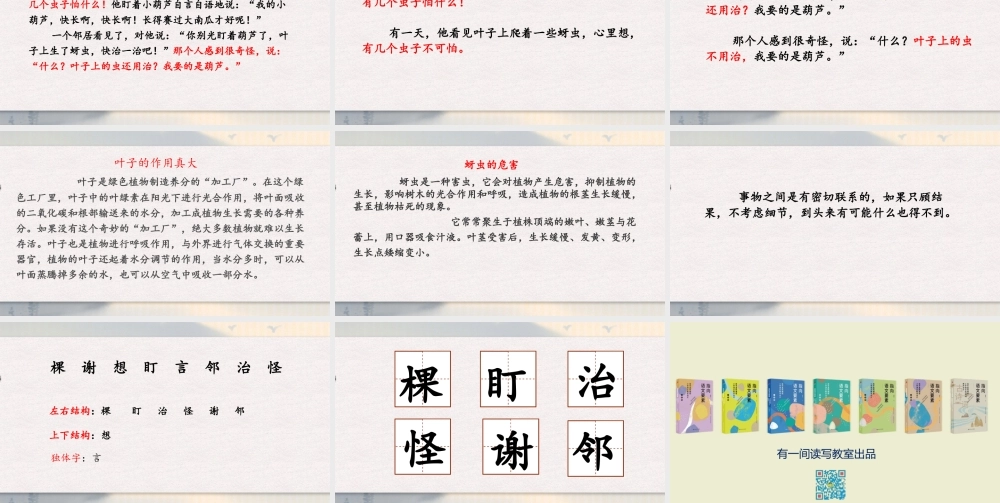 14 我要的是葫芦（改）.pptx