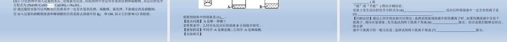 14专题十四　物质的检验与提纯 课件 2021年中考化学（全国）一轮复习【考百分kao100.com】.pptx