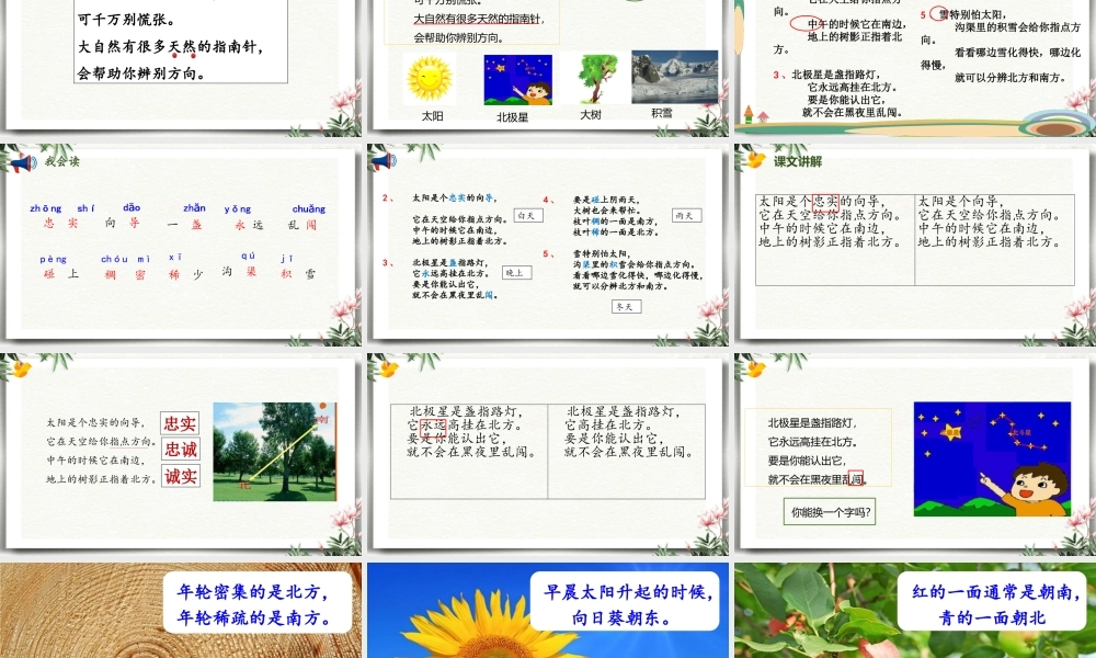 17 要是你在野外迷了路（改）.pptx