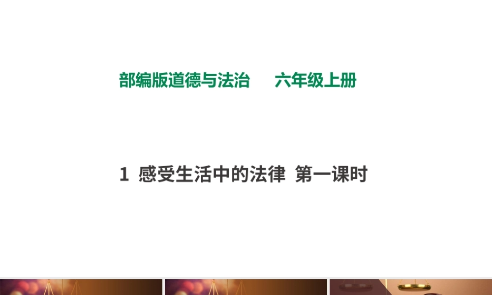 1感受生活中的法律第一课时 课件.pptx