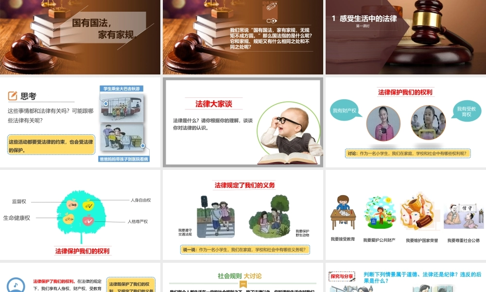 1感受生活中的法律第一课时 课件.pptx