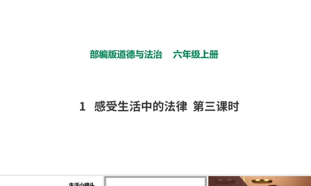 1感受生活中的法律第三课时.pptx