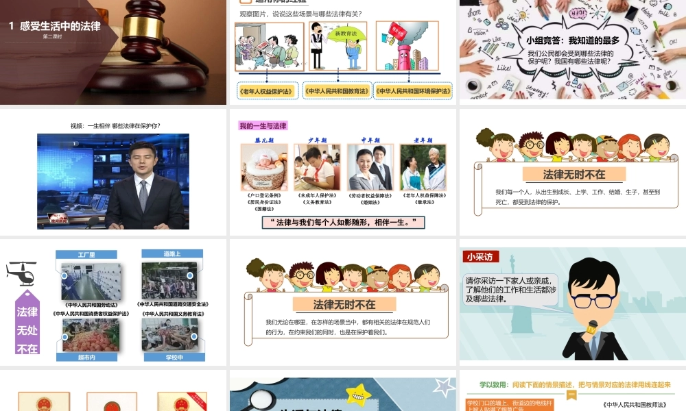 1感受生活中的法律第二课时 课件.pptx