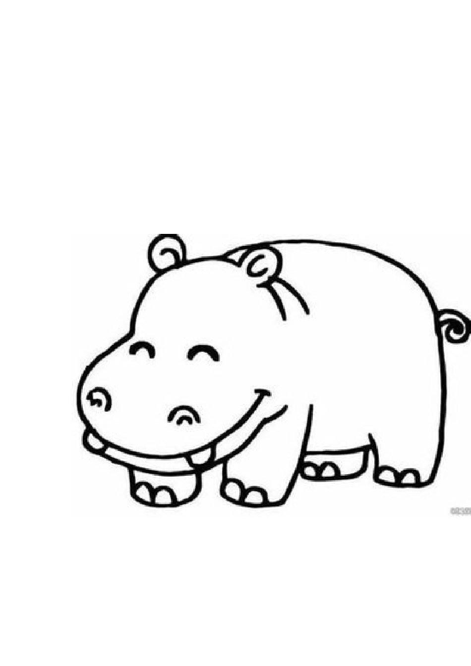 动物图片.doc_第2页