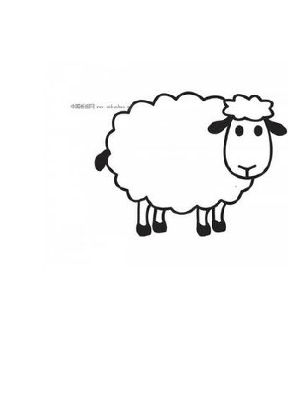 动物图片.doc_第3页