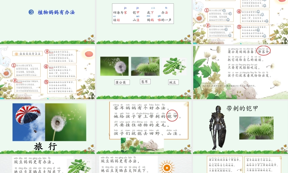 3.《植物妈妈有办法》（改）.pptx