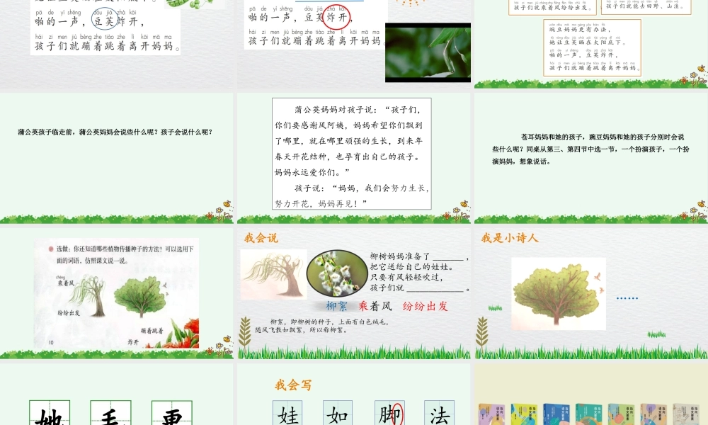 3.《植物妈妈有办法》（改）.pptx