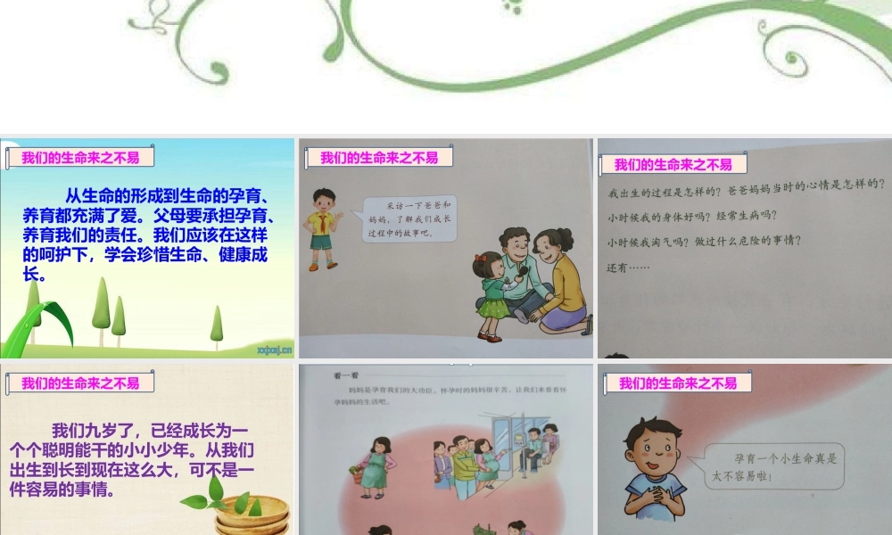 3.7生命最宝贵 (4).pptx