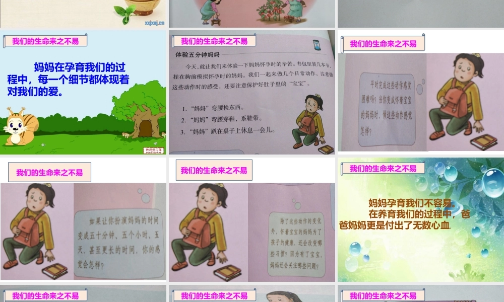 3.7生命最宝贵 (4).pptx