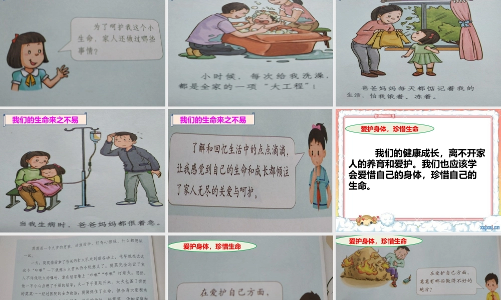 3.7生命最宝贵 (4).pptx