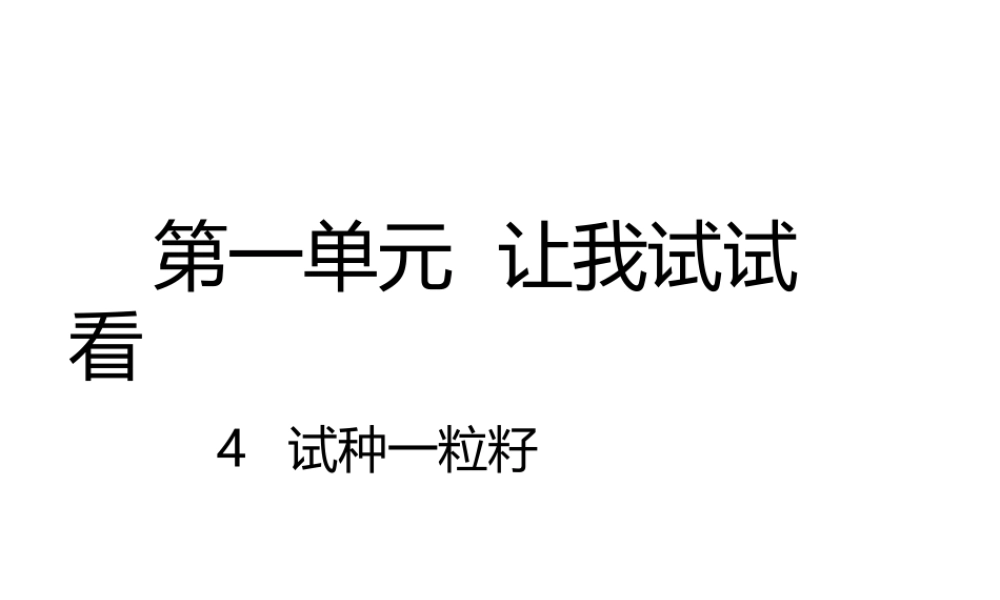 4试种一粒籽课件.pptx