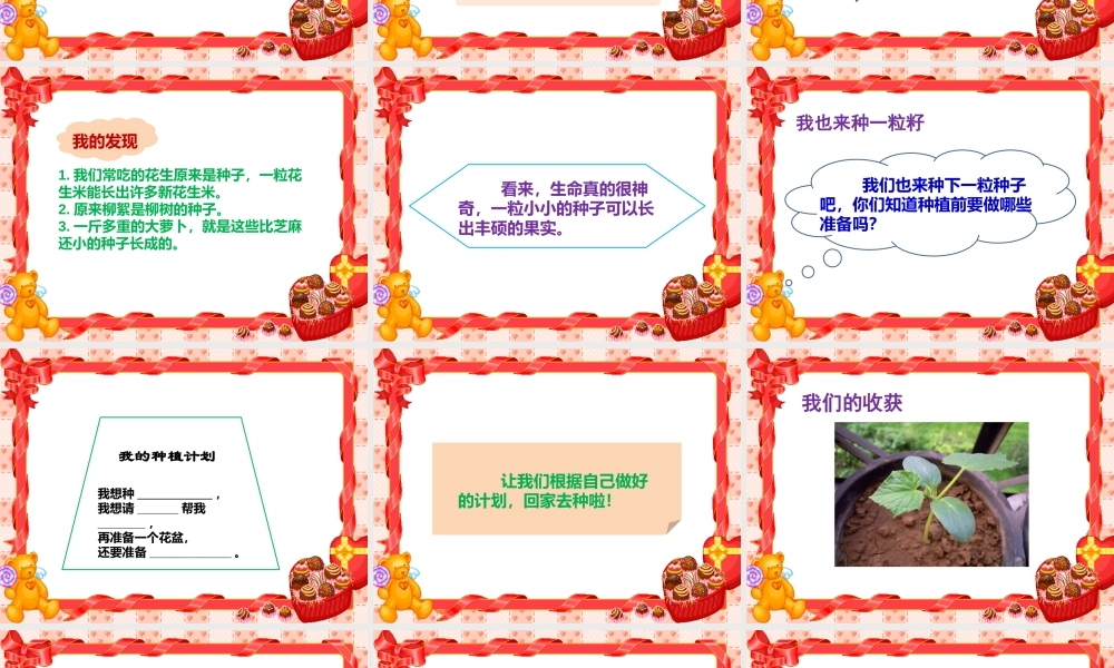 4试种一粒籽课件.pptx