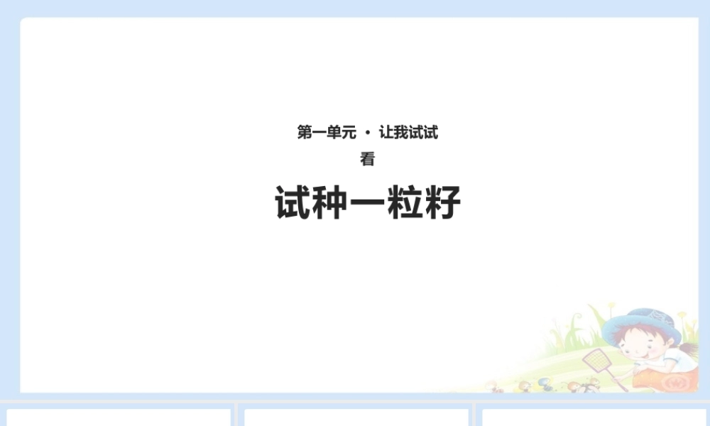 4 试种一粒籽 课件（共10张PPT）.pptx