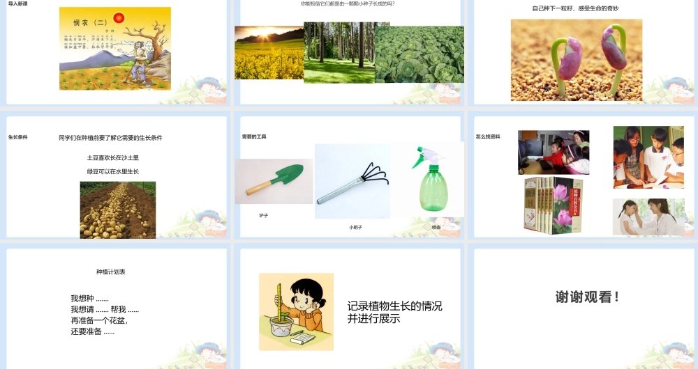 4 试种一粒籽 课件（共10张PPT）.pptx