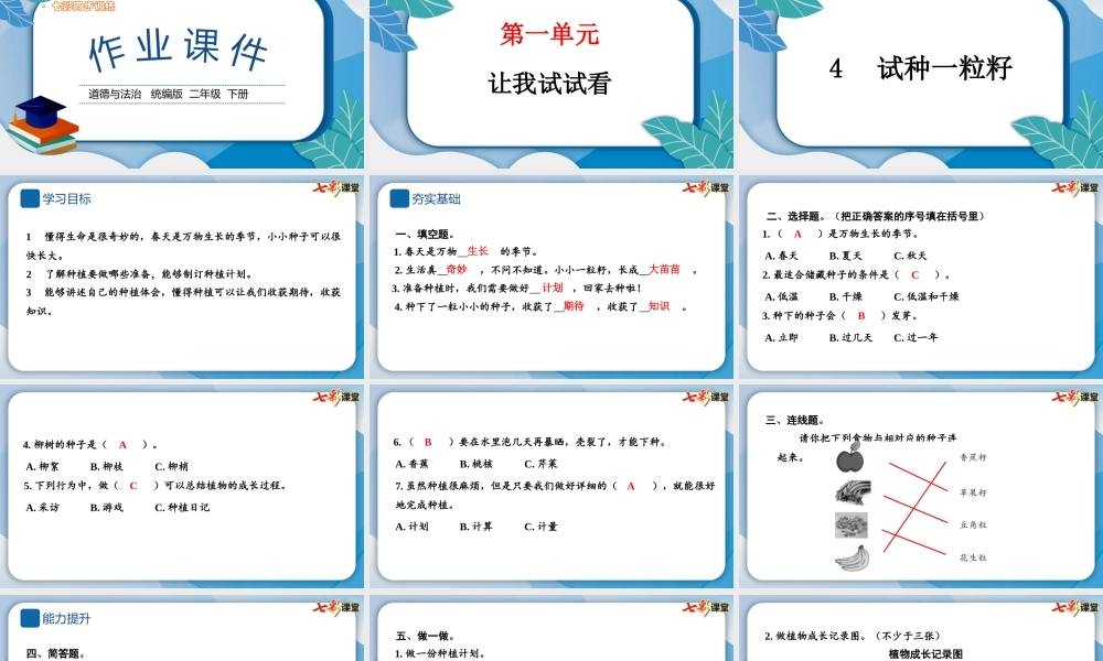 4 试种一粒籽.pptx