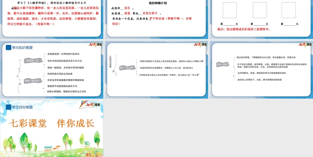 4 试种一粒籽.pptx